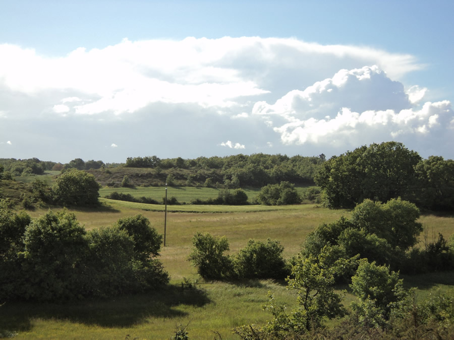 Caux, vallée du Boudouyssous